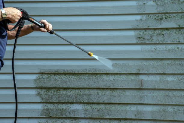 Best Paint Preparation  in Riceville, TN