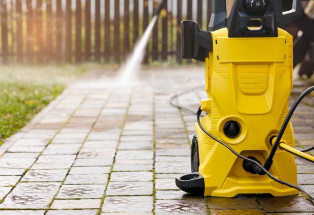 Best Solar Panel Cleaning  in Riceville, TN