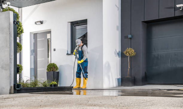 Best Soft Washing  in Riceville, TN